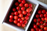 【予約販売 数量限定】さくらんぼ「紅秀峰」