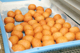 松下蒲鉾店8点セット