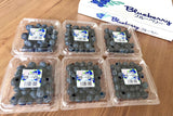 ※完売【予約販売 数量限定】ブルーベリー
